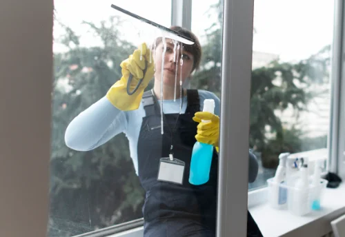 Nettoyage de vitres intérieures et extérieures à Pagny-la-Blanche-Côte